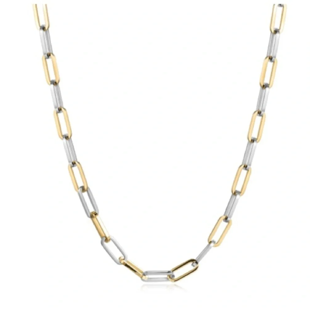 24” Gold and Stainless Steel Chain